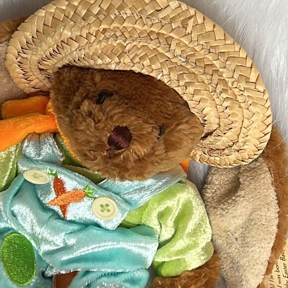 Hallmark/March of Dimes bunny plush bundle - Picture 7 of 11